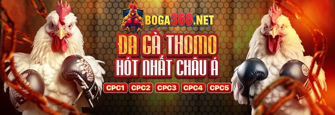 Đá Gà Trực Tuyến Sôi Động