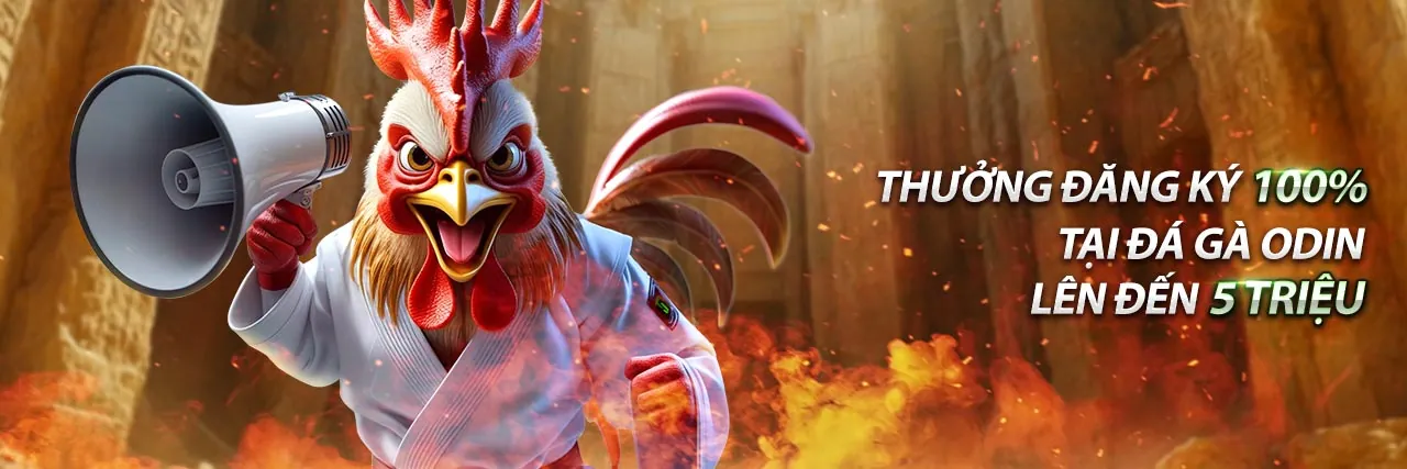 Hình ảnh đại diện cho chính sách GDPR và bảo mật dữ liệu